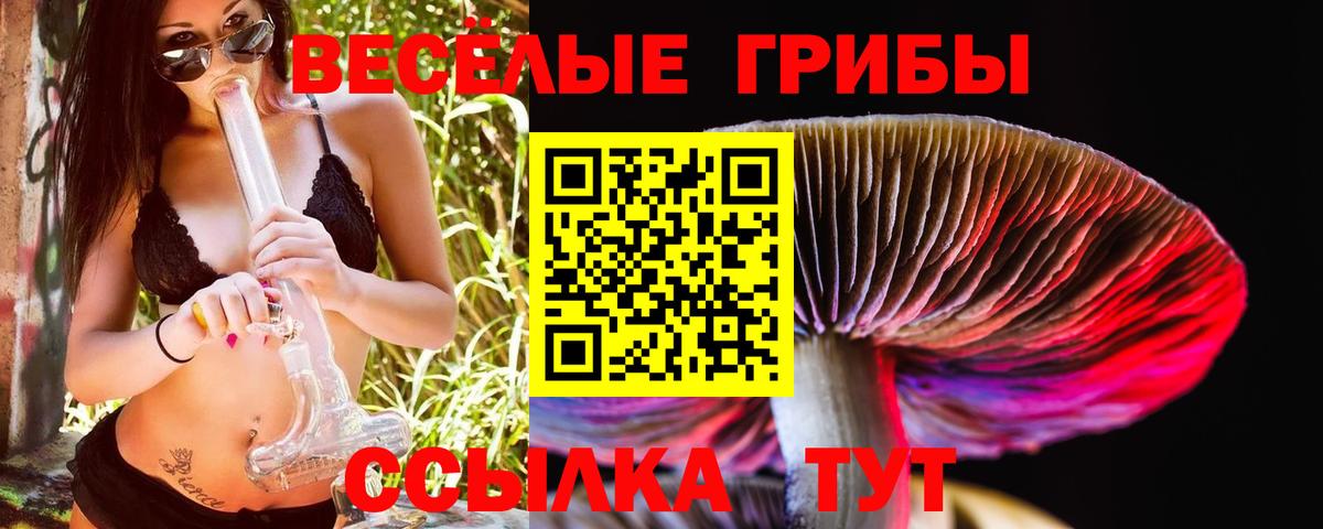 Псилоцибиновые грибы Magic Shrooms Ростов Великий