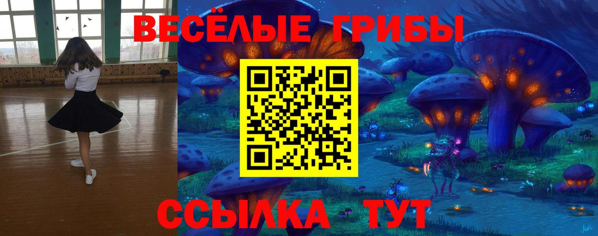 Ростов Великий  Псилоцибиновые грибы мицелий  Вход с VPN 